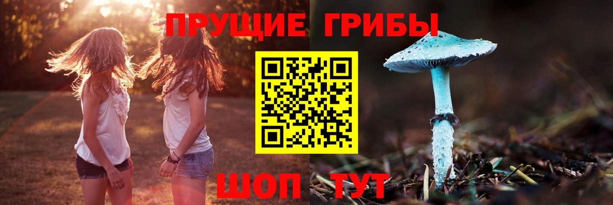 Выкса  цены   Вход с VPN  Псилоцибиновые грибы GOLDEN TEACHER 